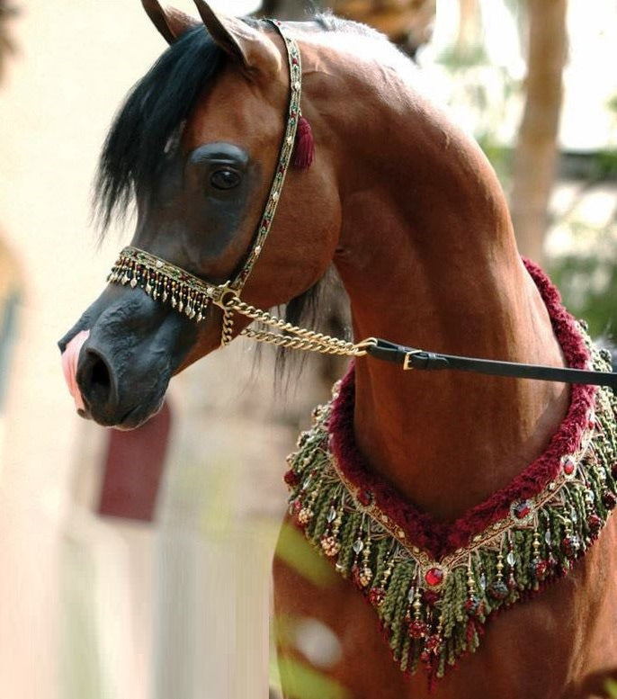 Arabian Horse Chest Pieces Belly Dance Belts