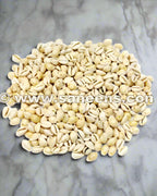 afghan kuchi tribal diy cowries