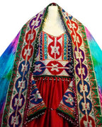 aryana saeed dress