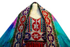 aryana saeed long dress