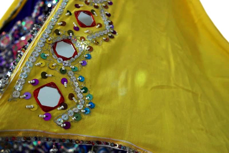 Oriental Dance Veils