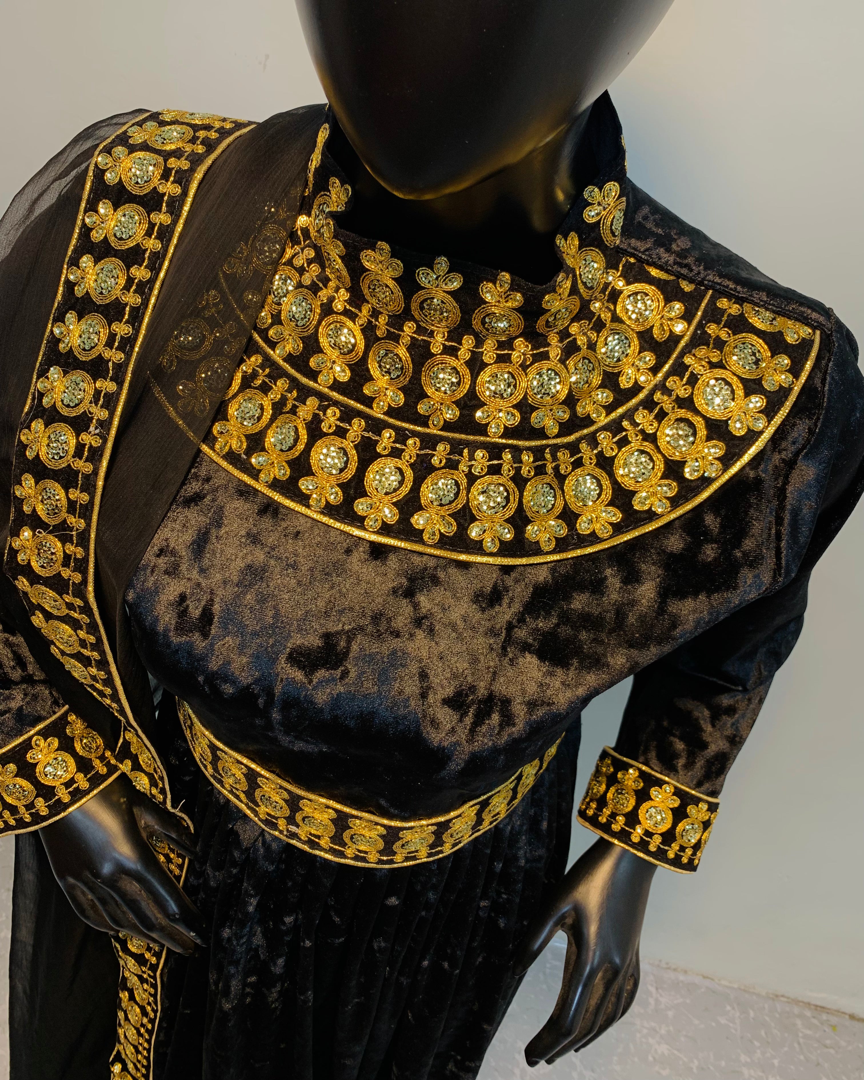 Royal Velvet Embroidered Dress