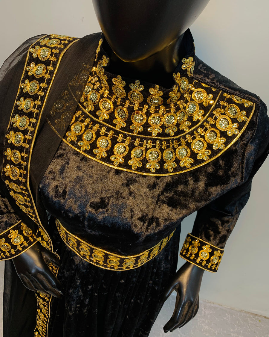 Royal Velvet Embroidered Dress