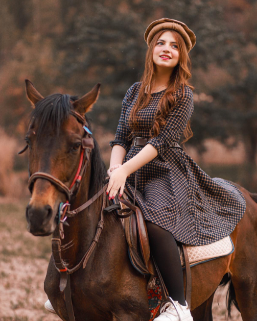 Pakol traditional cap brown color